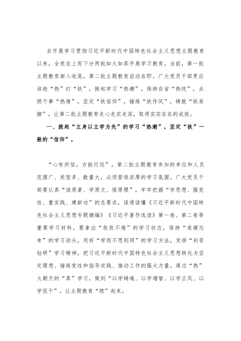 2023年第二批主题教育专题研讨发言材料、实施方案、党课学习讲稿、动员部署会讲话提纲、党支部学习计划、研讨材料（10篇word版文）供参考.docx_第2页
