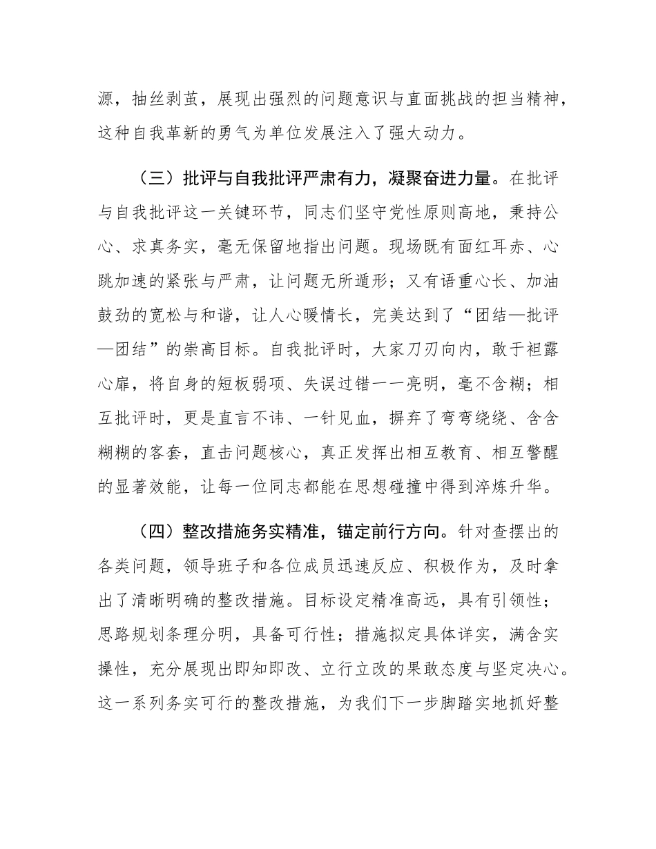 在2024年民主SH会上的点评讲话提纲.docx_第3页