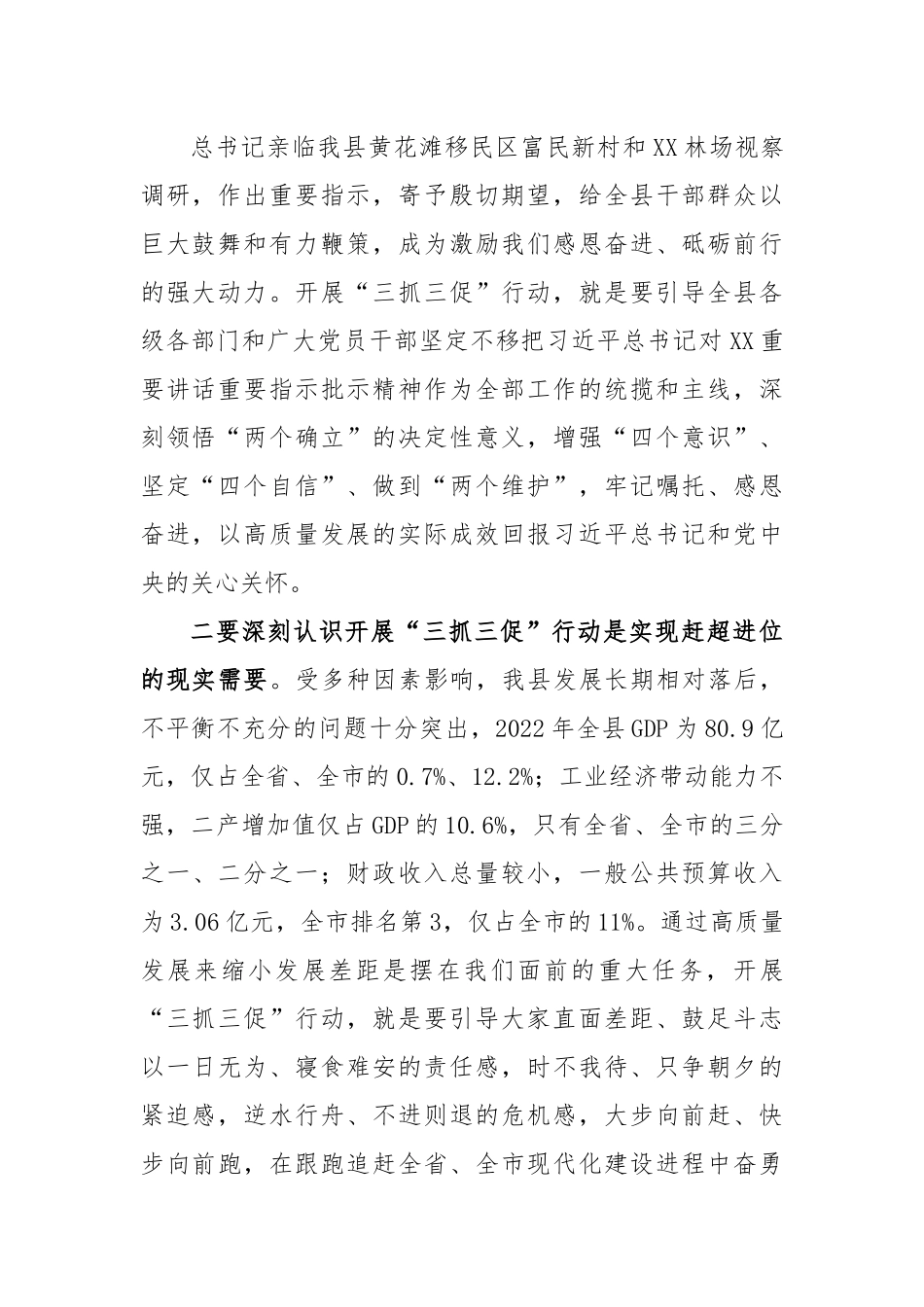 全县“三抓三促”行动动员部署会议精神.docx_第2页