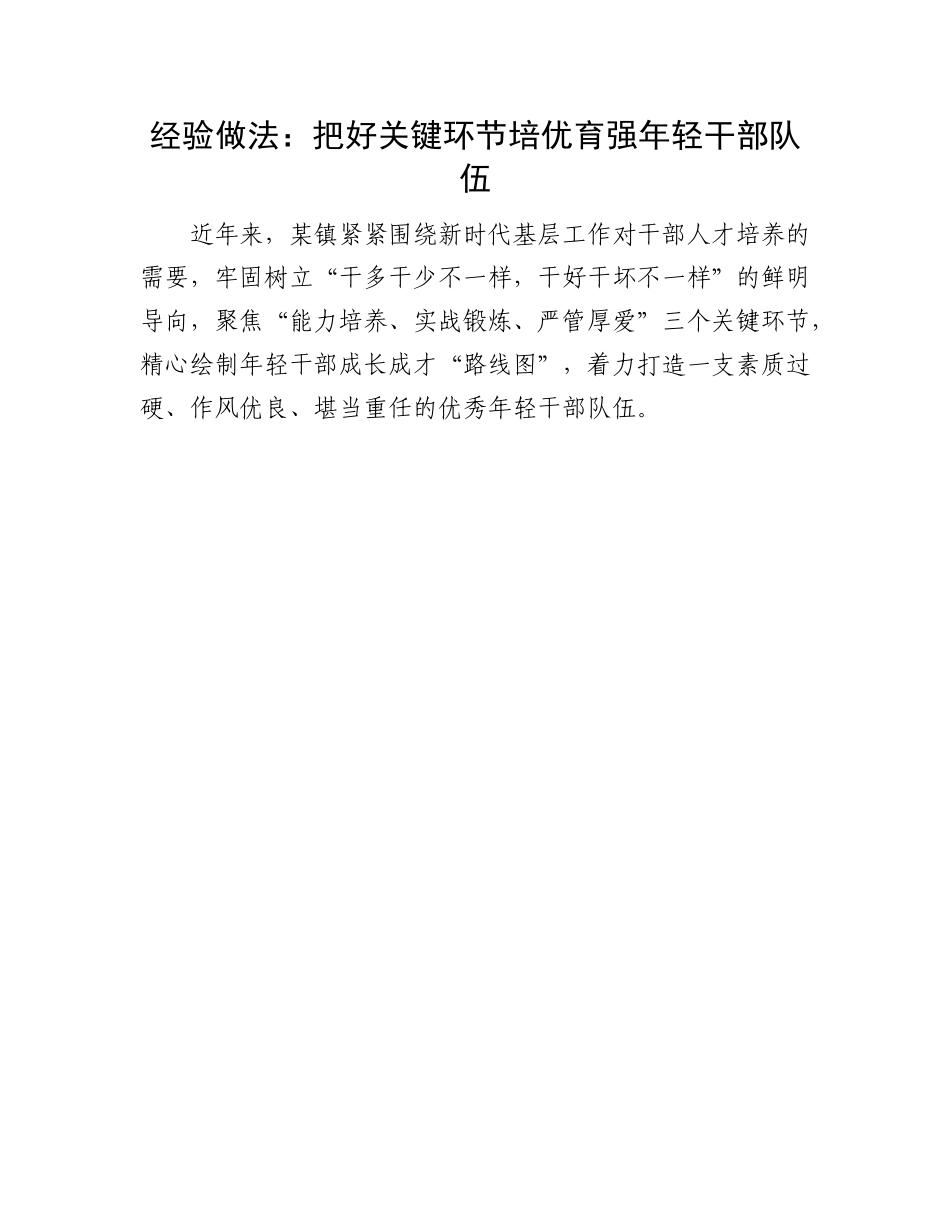 年轻干部队伍建设经验做法：把好关键环节 培优育强年轻干部队伍.docx_第1页