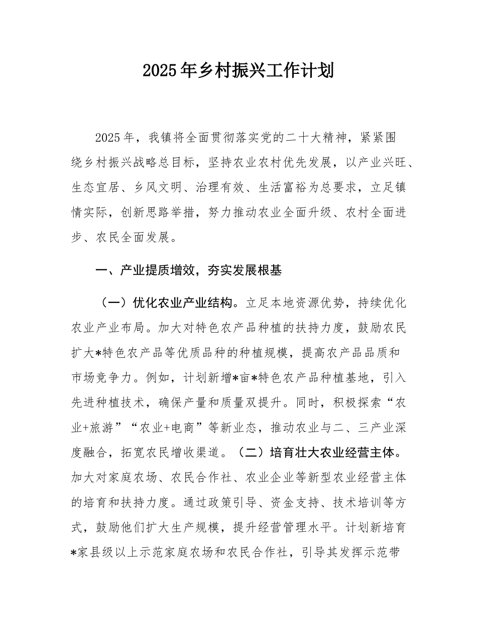 2025年乡村振兴工作计划.docx_第1页