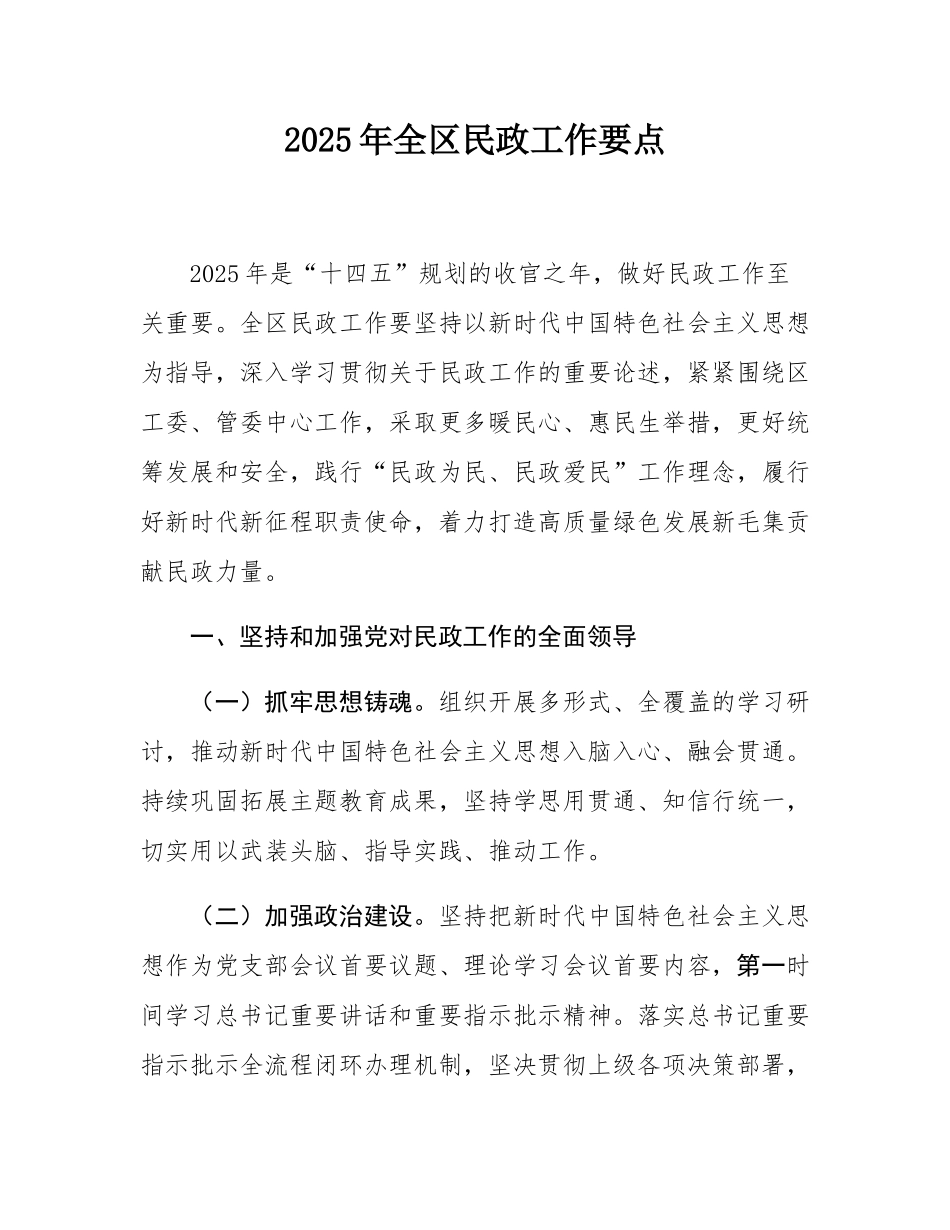 2025年全区民政工作要点.docx_第1页