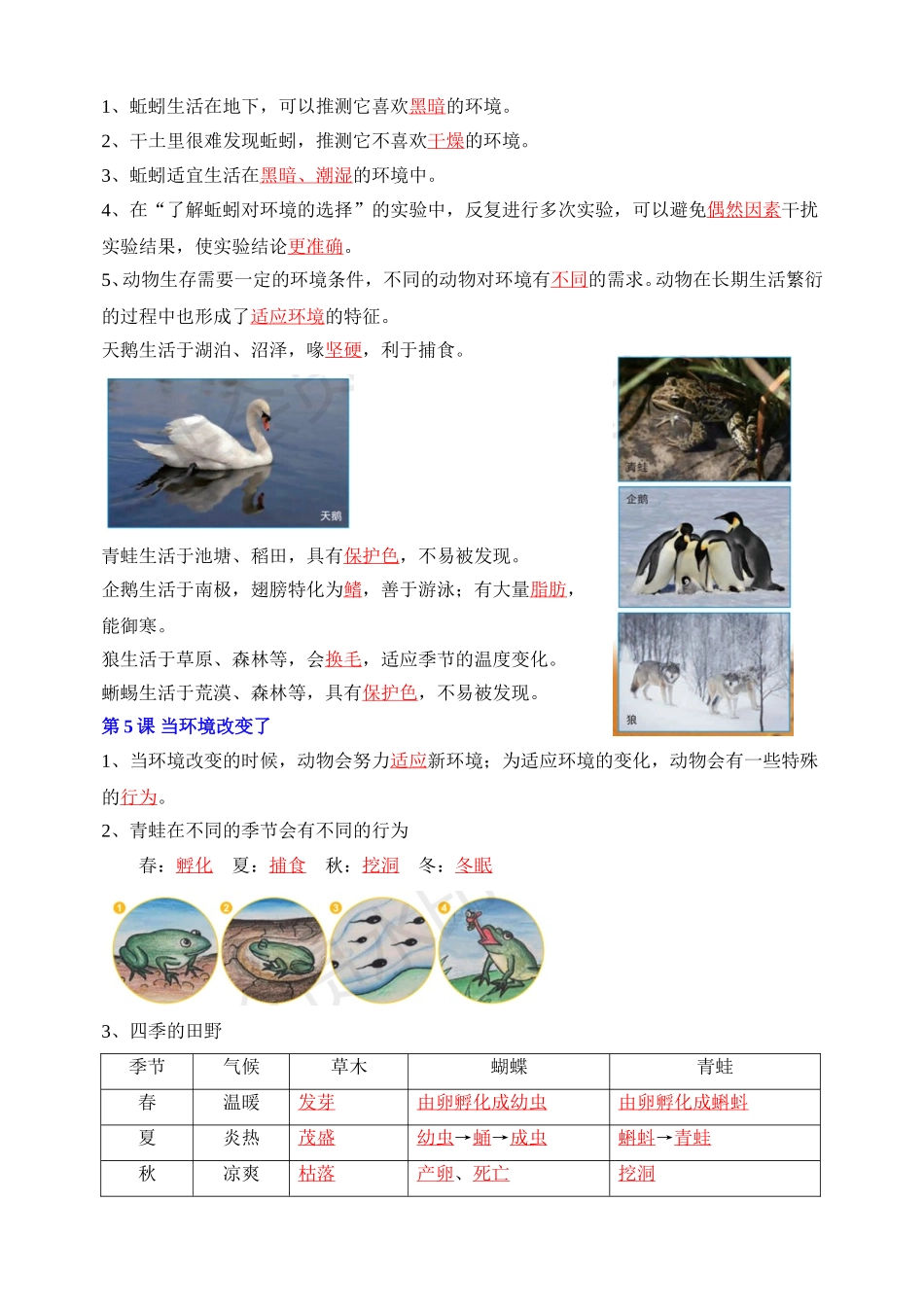 2025年新教科版小学科学五年级下册全册单元核心知识点汇总.doc_第3页