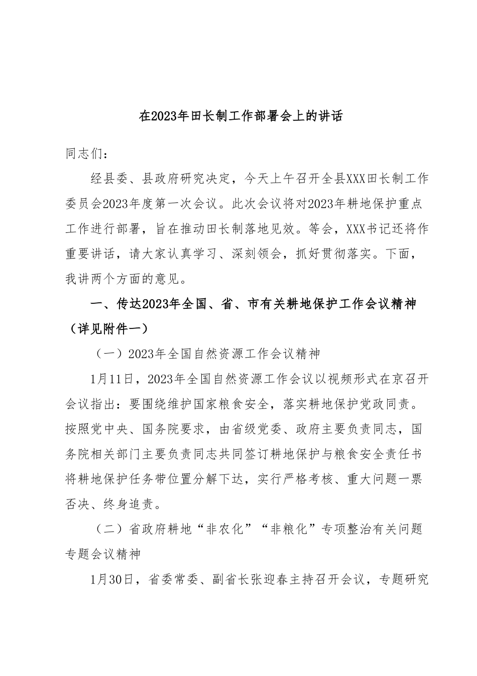 在2023年田长制工作部署会上的讲话.docx_第1页