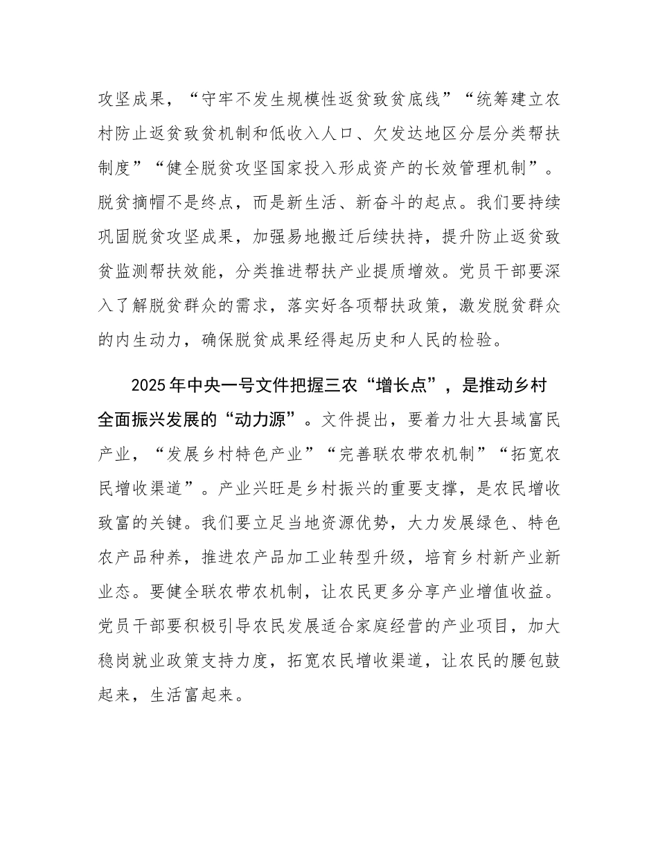 学习2025年中央一号文件的研讨发言材料.docx_第2页