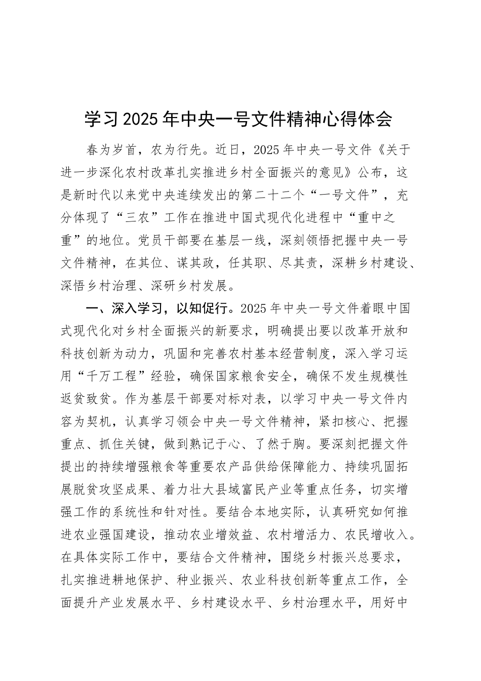 2025年一号文件精神心得体会研讨发言材料20250305.docx_第1页