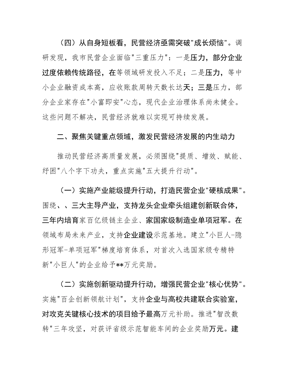 在全市推动民营经济高质量发展座谈会上的讲话.docx_第3页