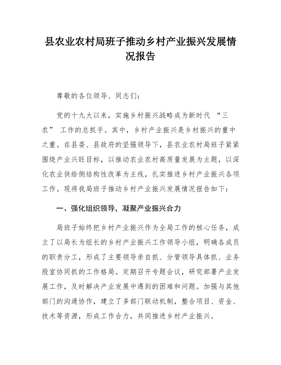 县农业农村局班子推动乡村产业振兴发展情况报告.docx_第1页