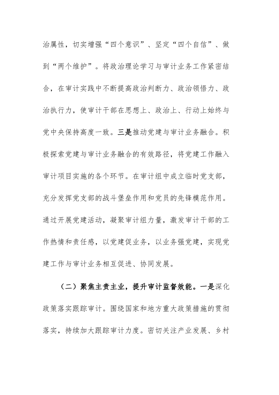 在2025年审计工作会议上的工作报告供参考.docx_第3页