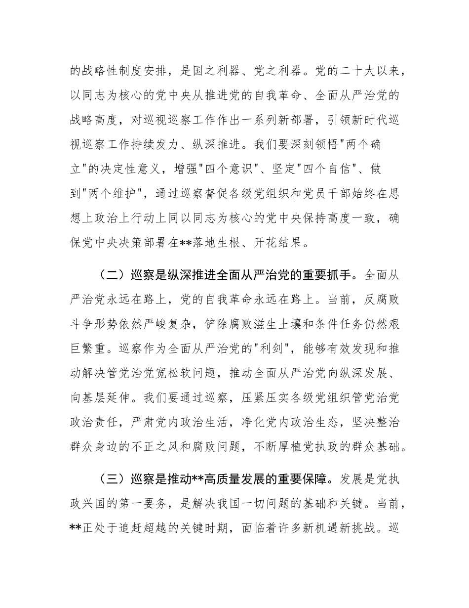 在全市巡察工作动员会议上的讲话.docx_第2页
