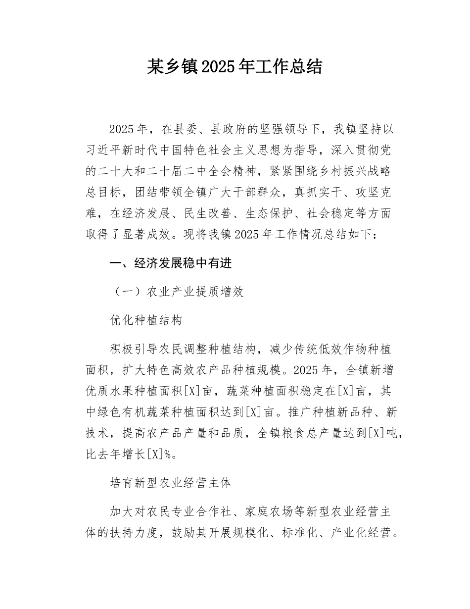 某乡镇2025年工作总结.docx_第1页