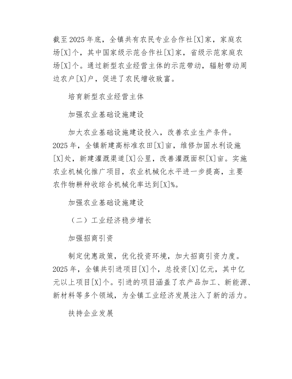 某乡镇2025年工作总结.docx_第3页