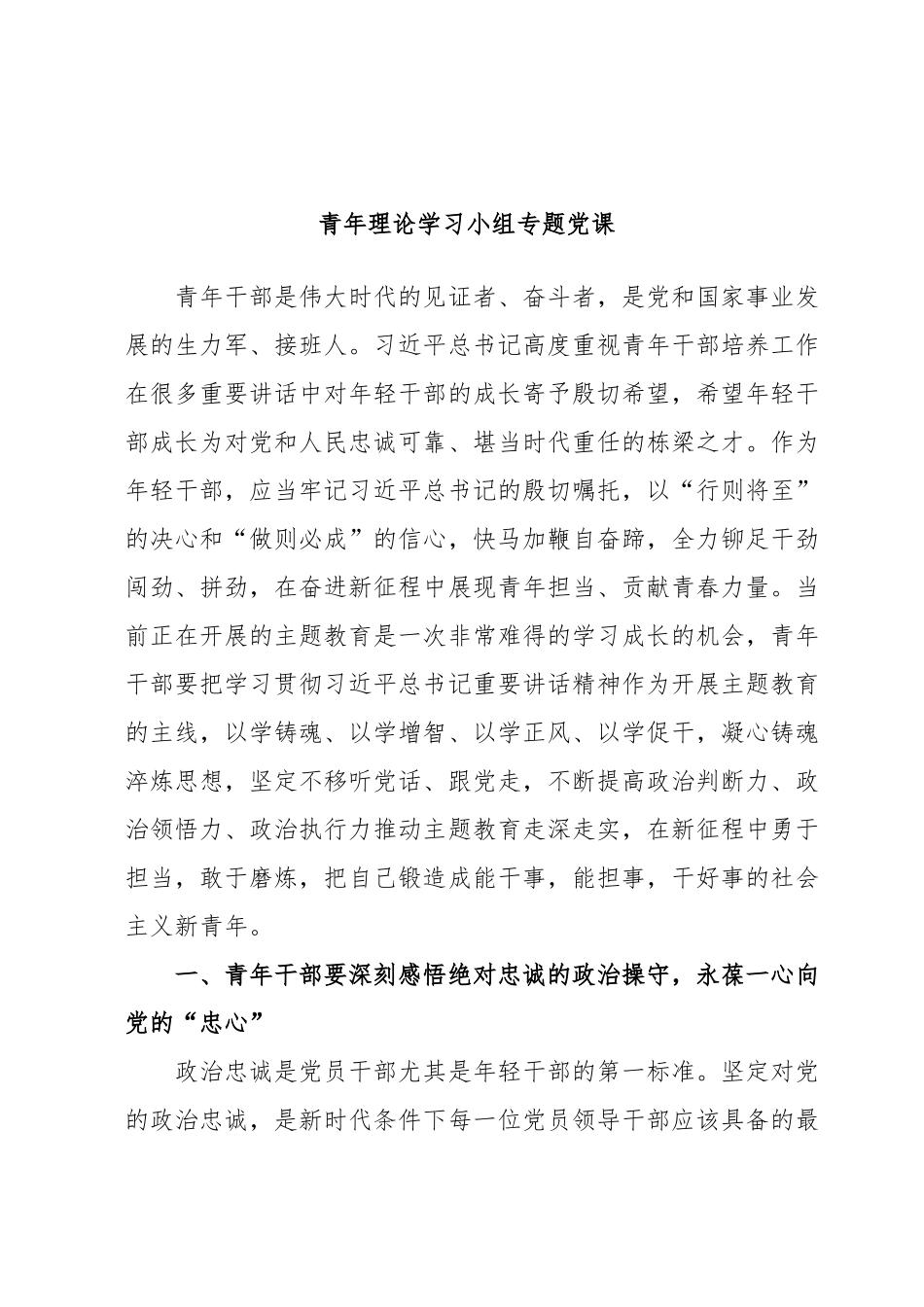 青年理论学习小组专题党课.docx_第1页