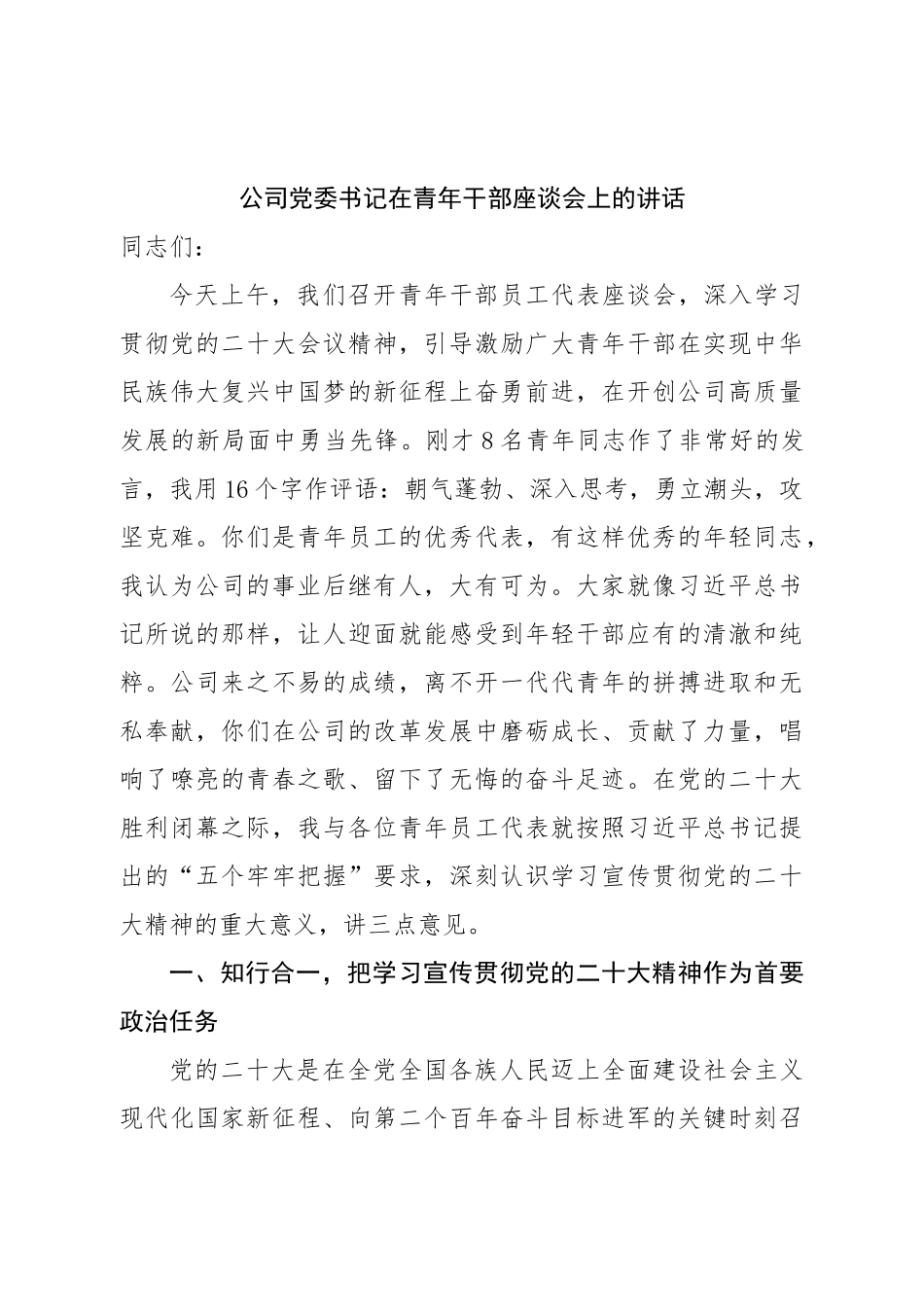 公司党委书记在青年干部座谈会上的讲话.doc_第1页