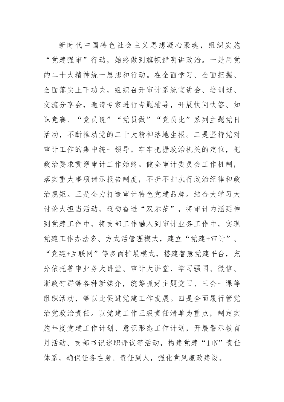 2023年度审计局党建工作计划.docx_第2页