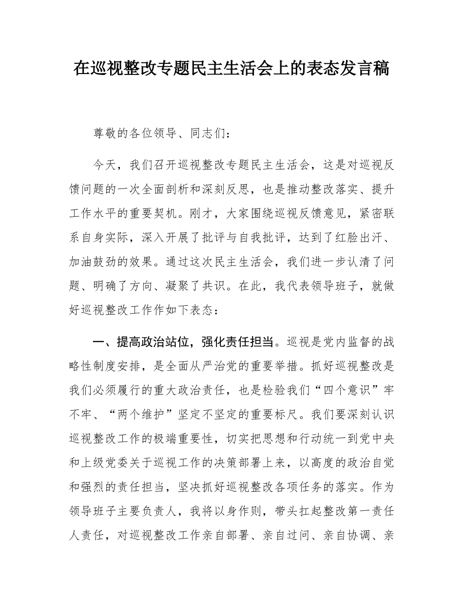 在巡视整改专题民主SH会上的表态发言稿.docx_第1页