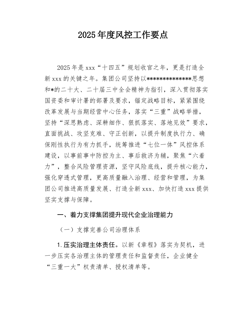 2025年度风控工作要点.docx_第1页