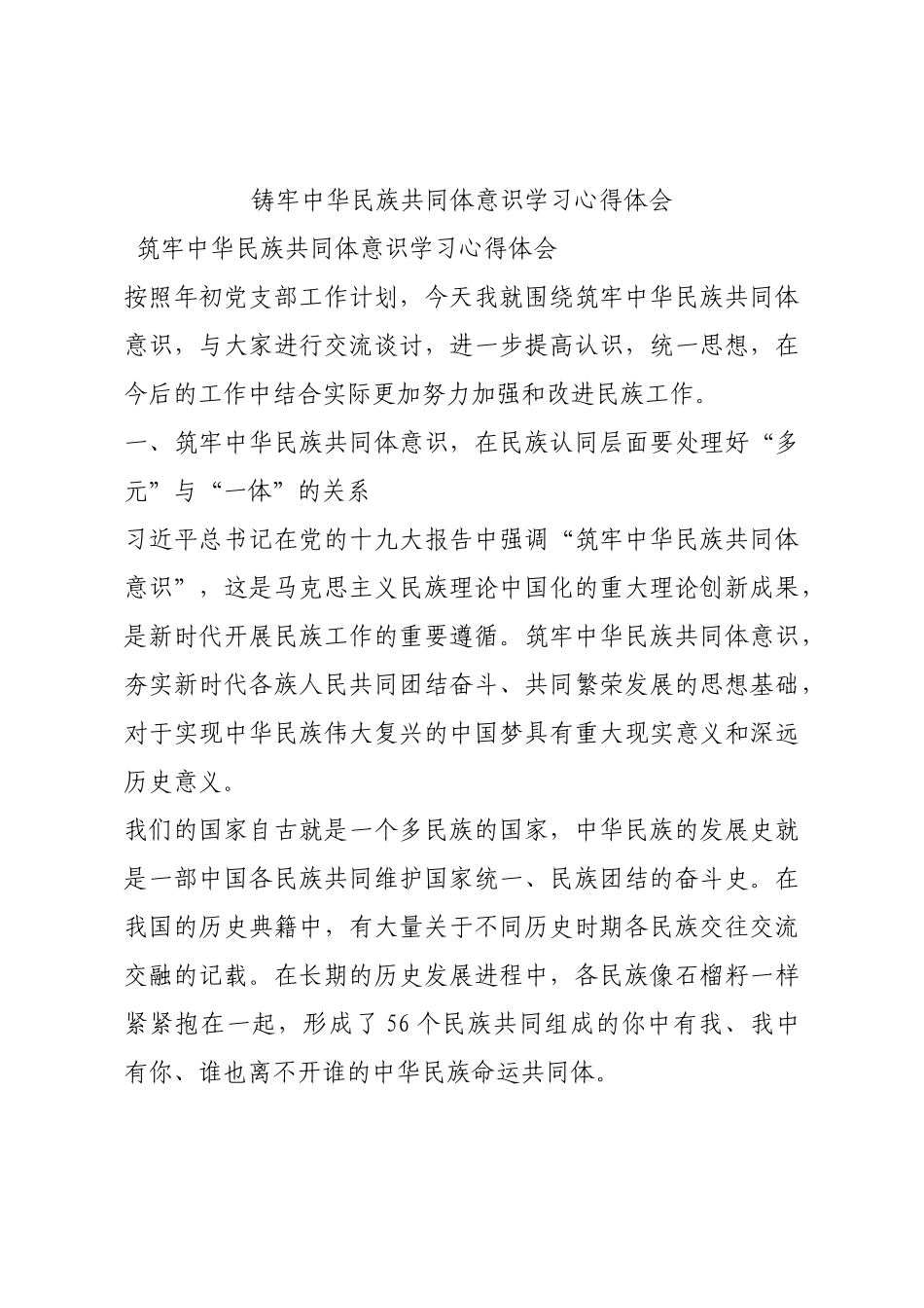铸牢中华民族共同体意识学习心得体会.docx_第1页