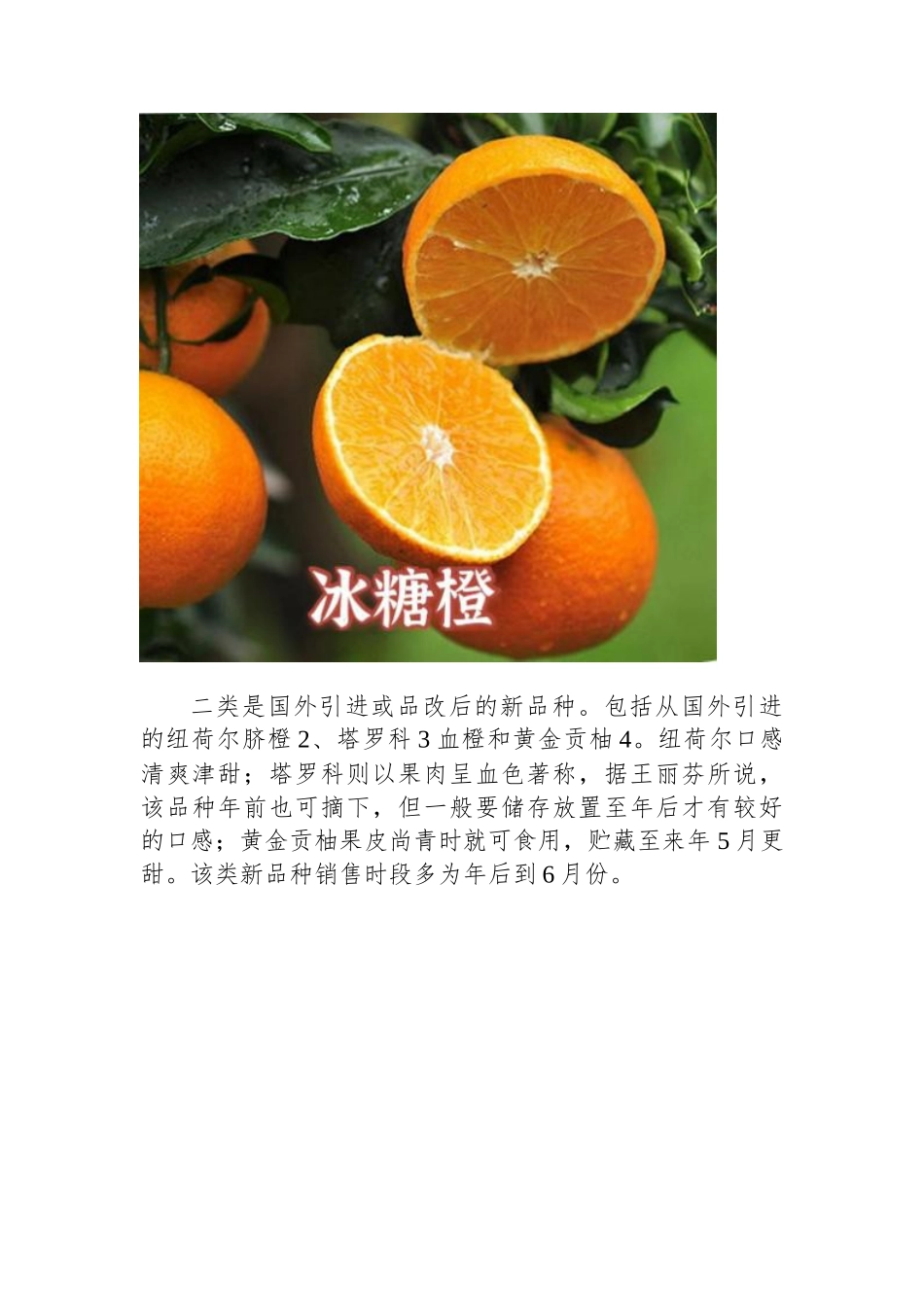 麻阳县谭家寨乡柑桔种植产业调研报告.docx_第3页