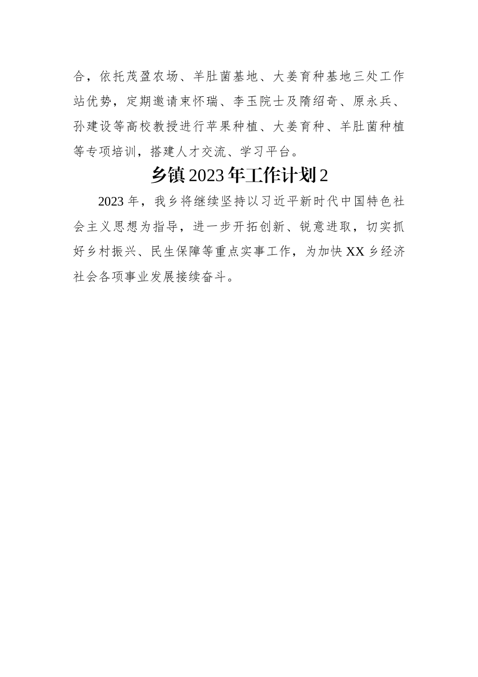 乡镇2023年工作计划（2篇）.docx_第3页