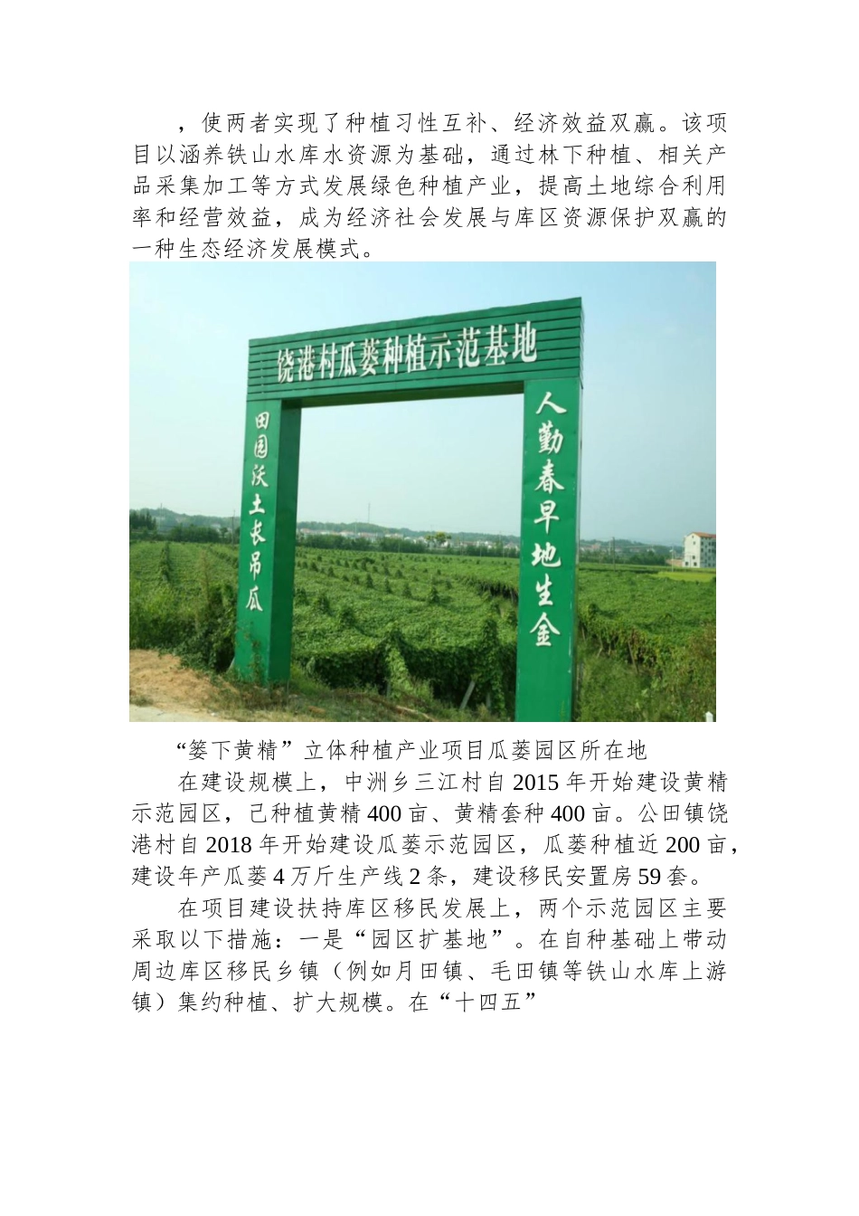 岳阳县“篓下黄精”立体种植产业调研报告.docx_第3页