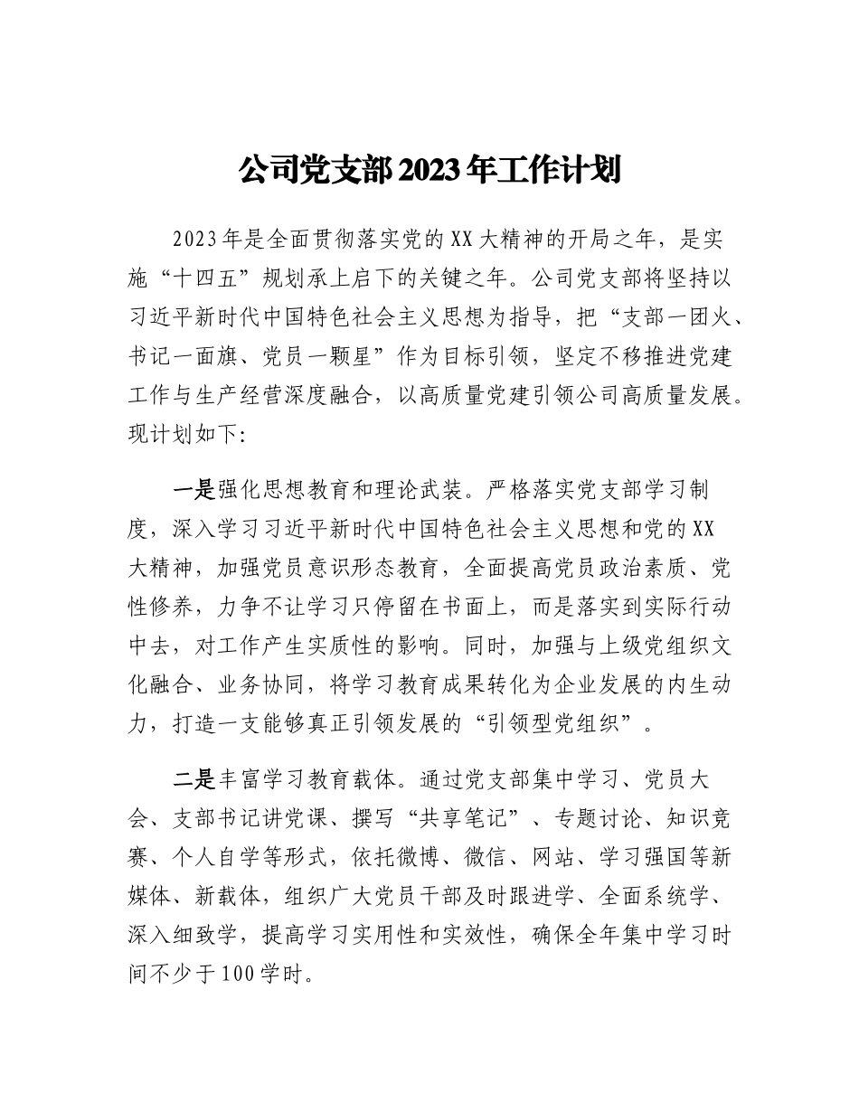 20230315：公司党支部2023年工作计划.docx_第1页