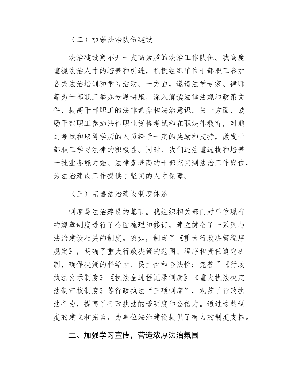 市级单位履行推进法治建设第一责任人述职报告.docx_第2页