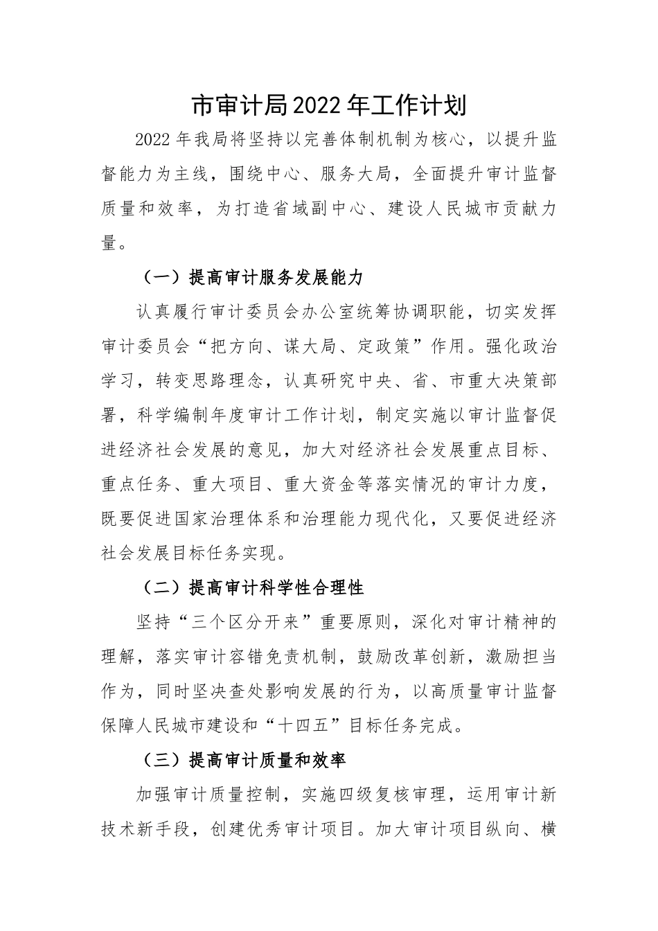 市审计局202X年工作计划.docx_第1页