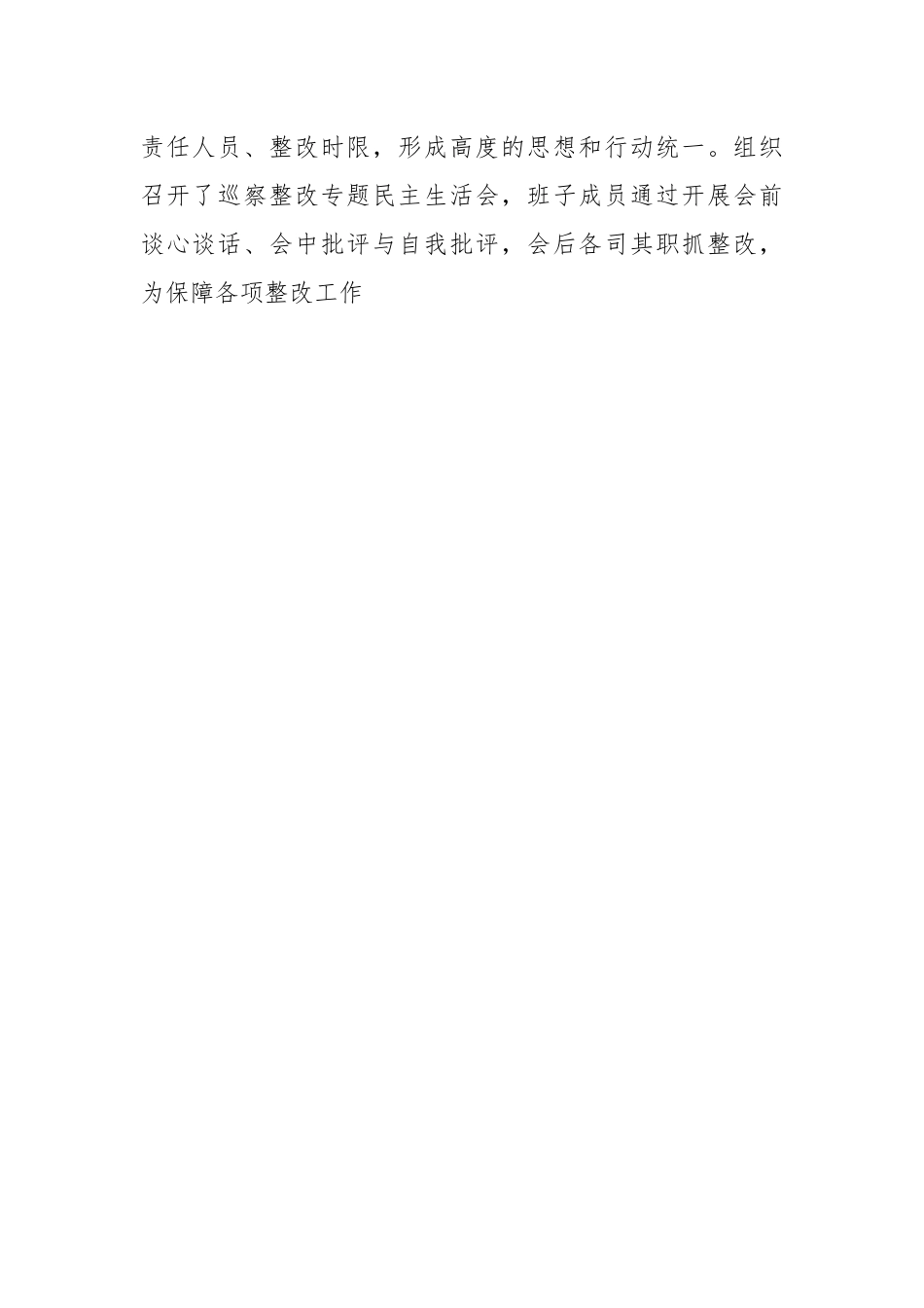 某镇关于落实X届县委第X轮巡察情况反馈意见集中整改情况报告.docx_第2页