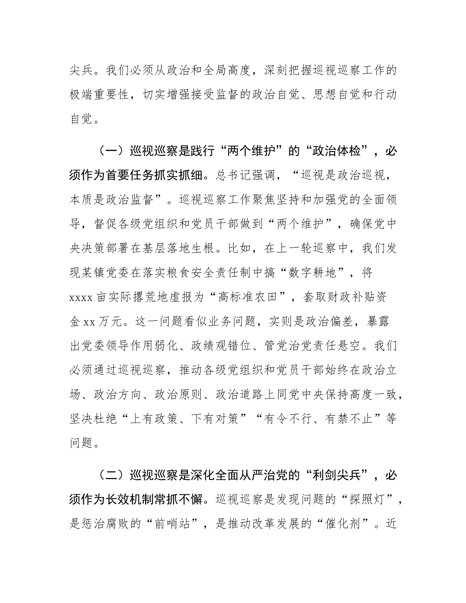 在县委理论学习中心组巡视巡察工作专题学习研讨时的发言.docx_第2页