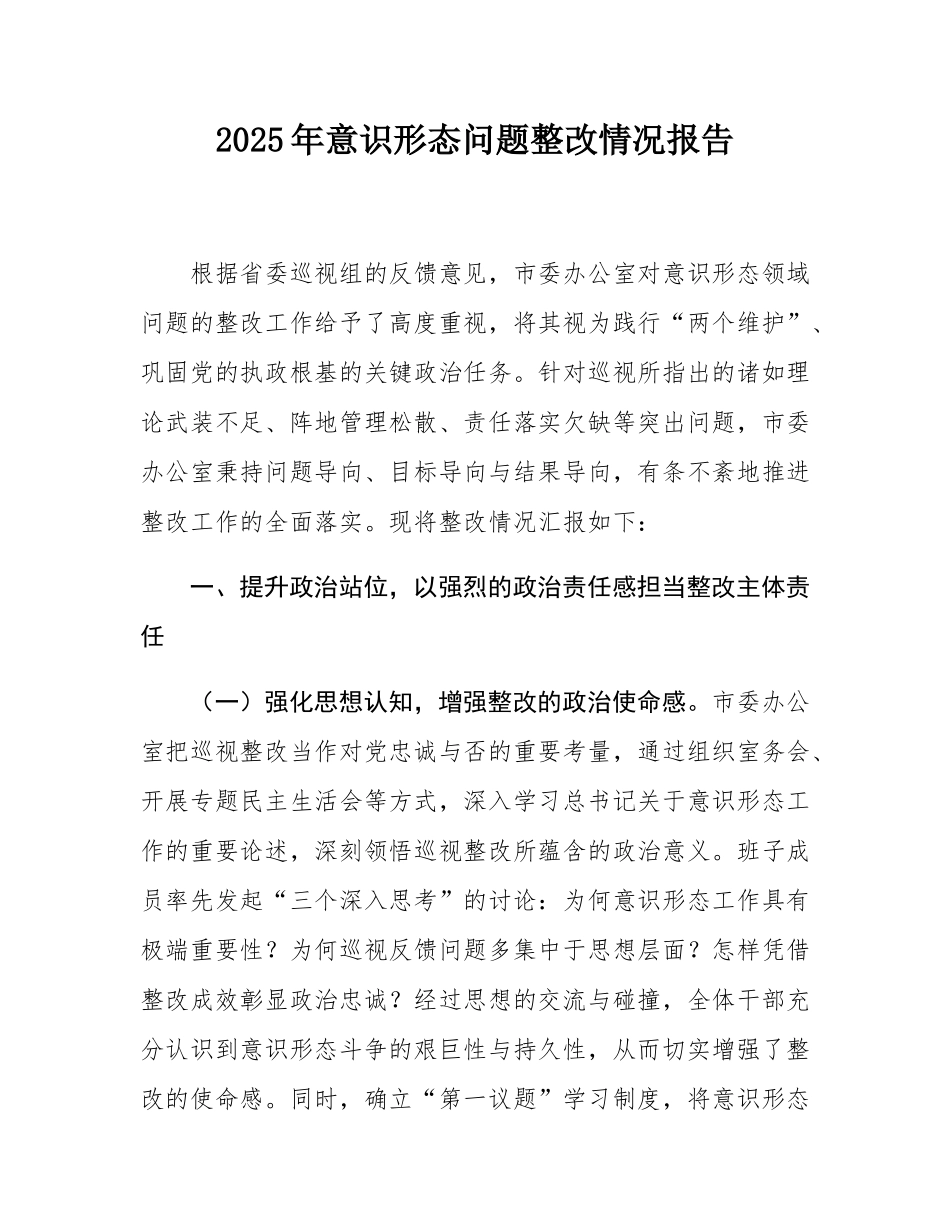 2025年意态问题整改情况报告.docx_第1页