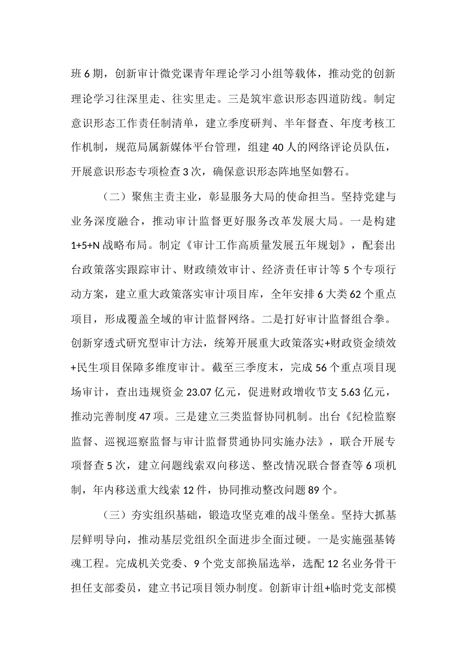 市审计局上半年党建工作总结.docx_第2页