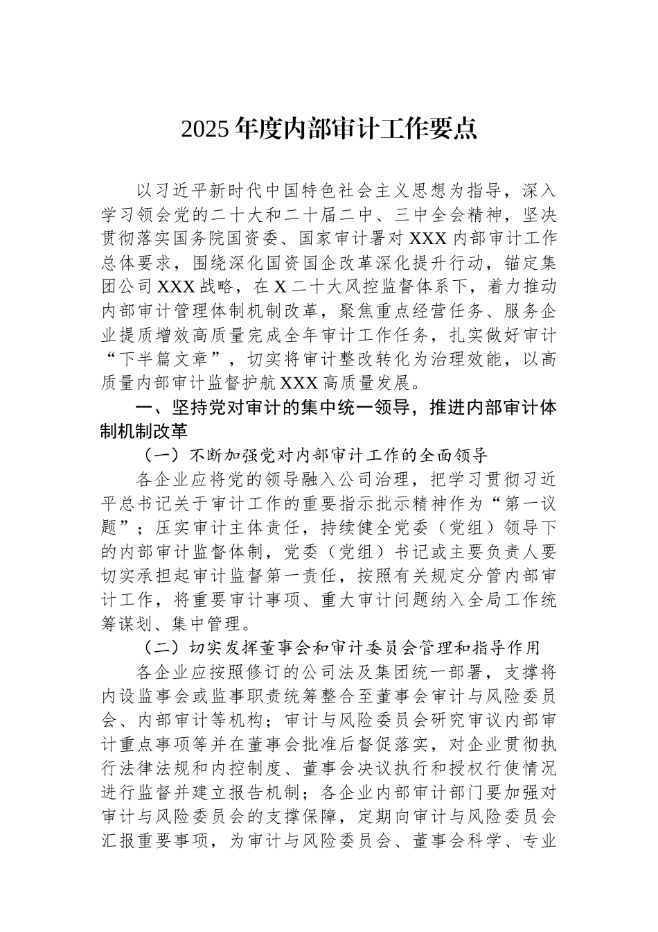 2025年度内部审计工作要点.docx_第1页