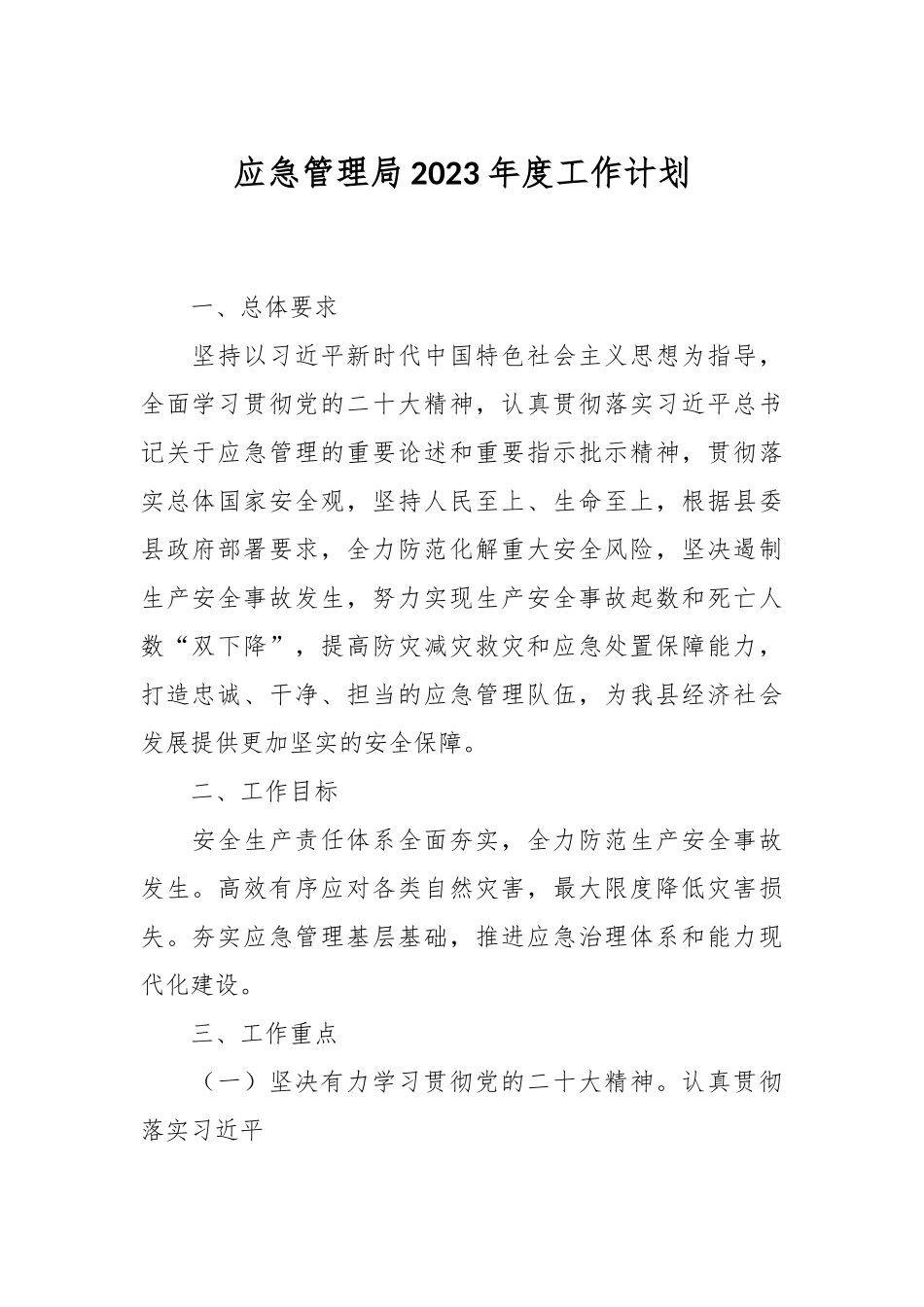 应急管理局2023年度工作计划.docx_第1页