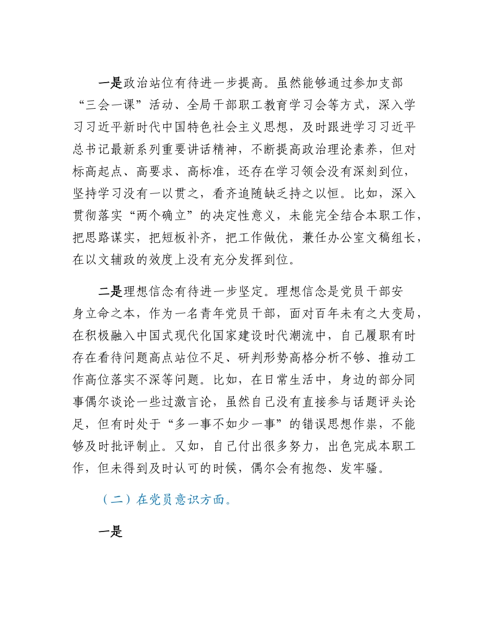20230307：政府机关党支部党员干部组织生活会个人对照检查材料.docx_第2页