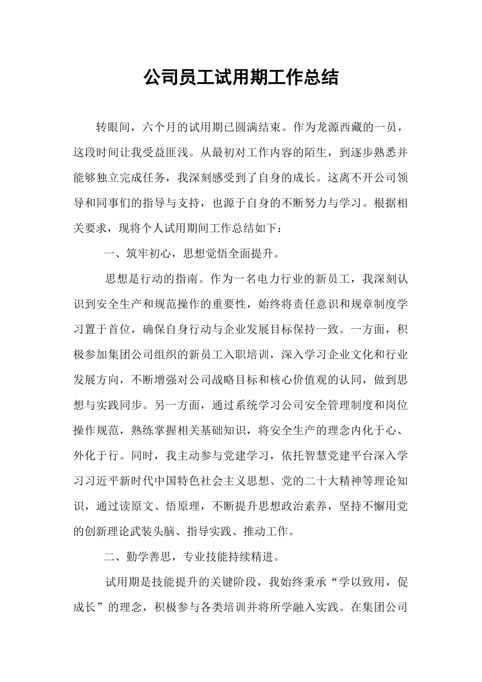 公司员工试用期工作总结.docx_第1页