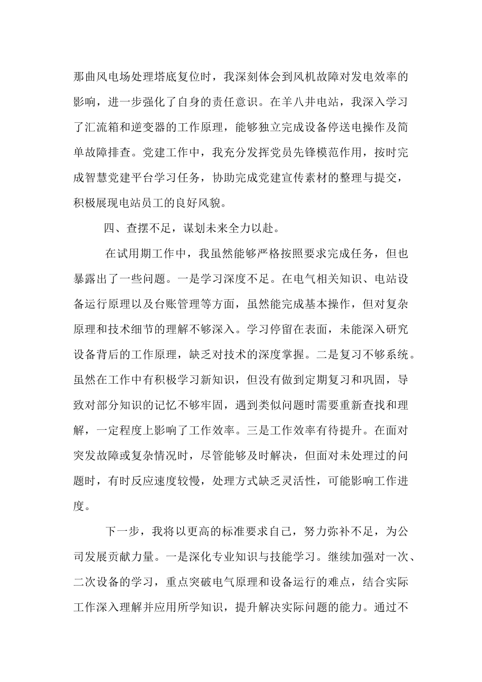 公司员工试用期工作总结.docx_第3页