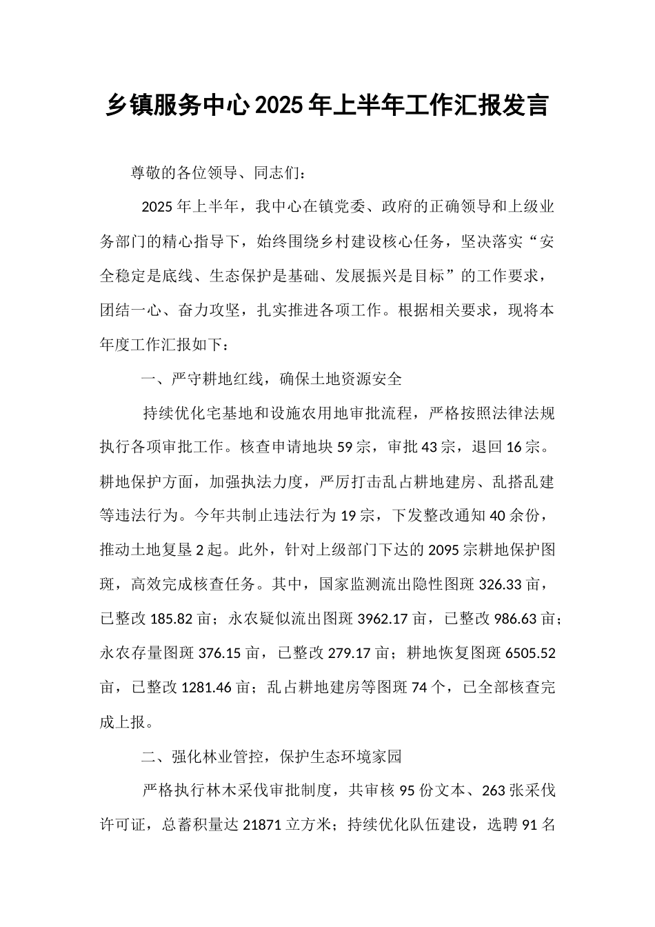 乡镇服务中心2025年上半年工作汇报发言.docx_第1页
