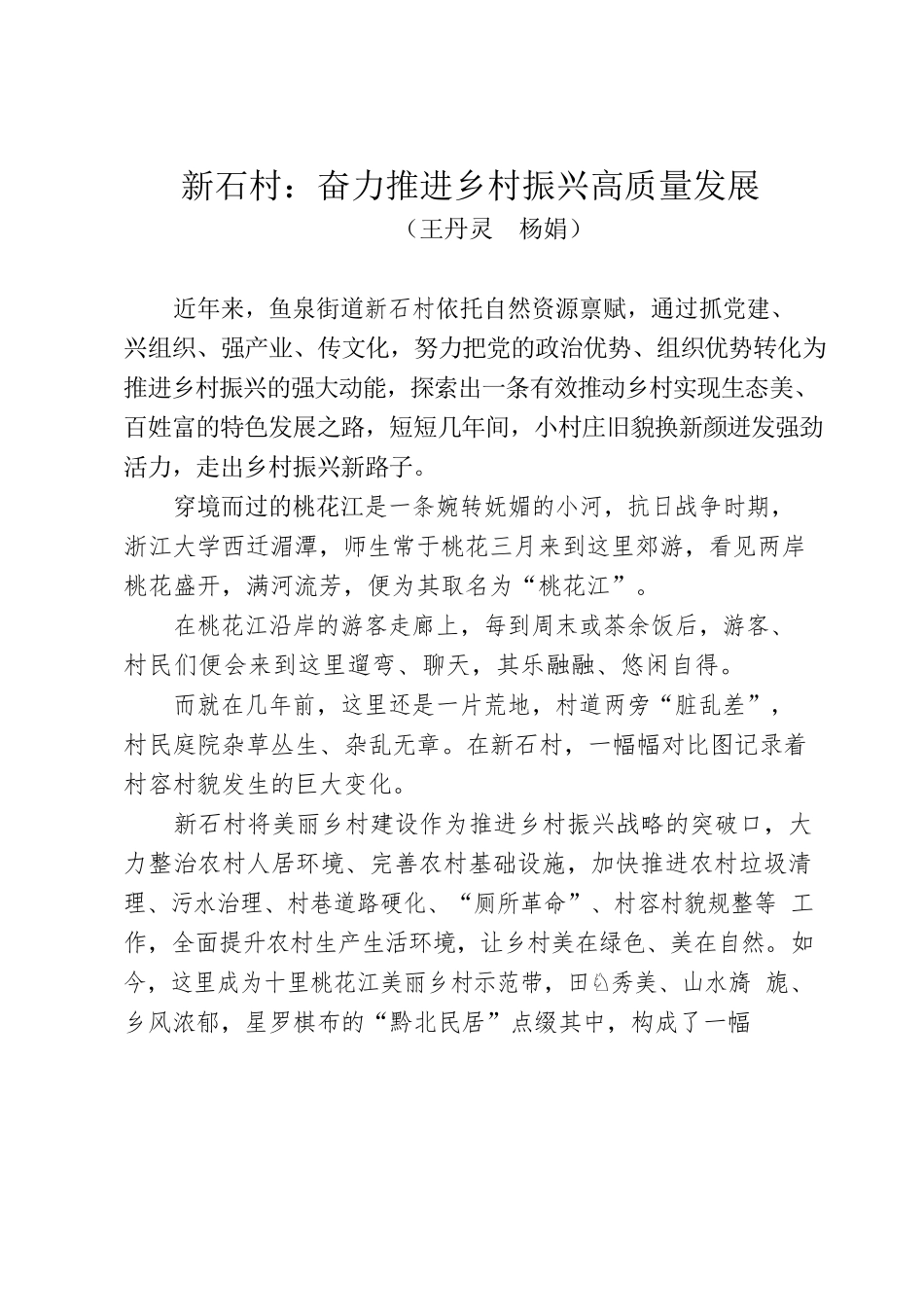 新石村：奋力推进乡村振兴建设高质量发展.docx_第1页