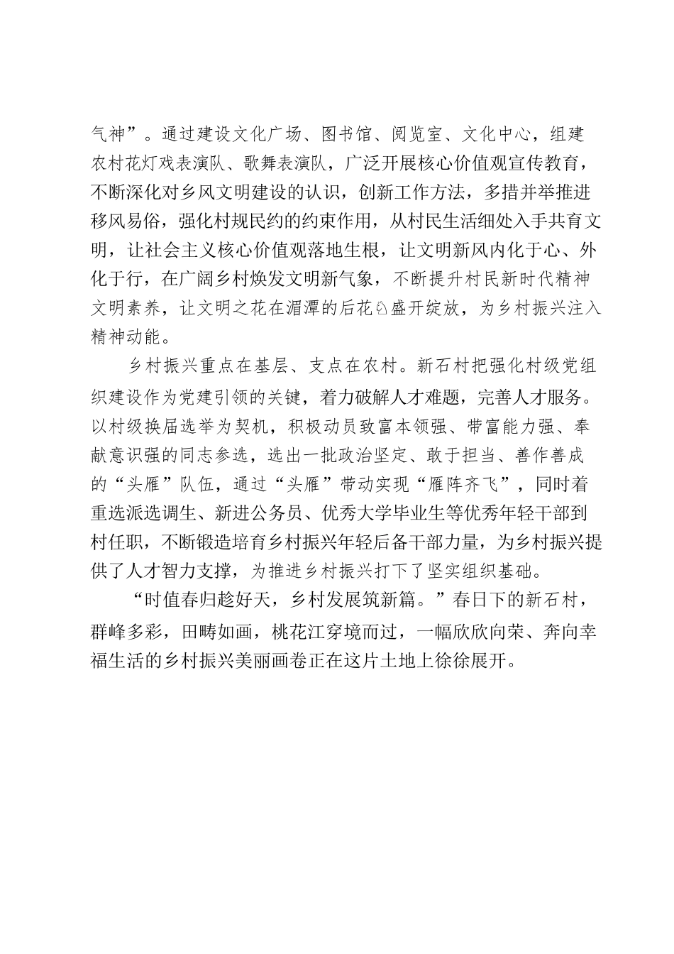 新石村：奋力推进乡村振兴建设高质量发展.docx_第3页