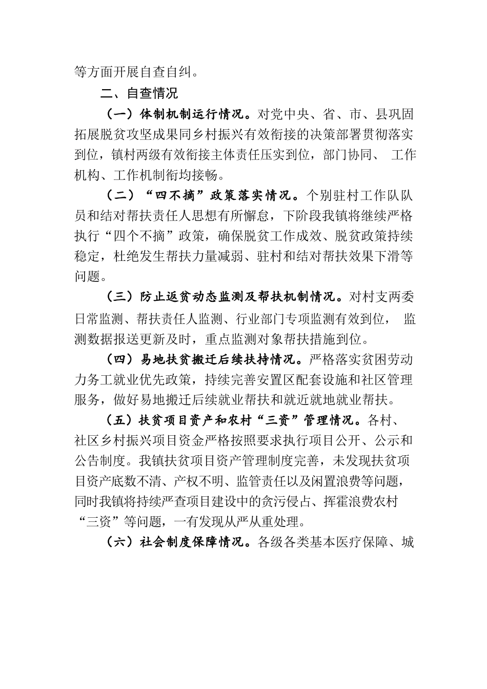乡村振兴领域监督自查自纠报告.docx_第2页