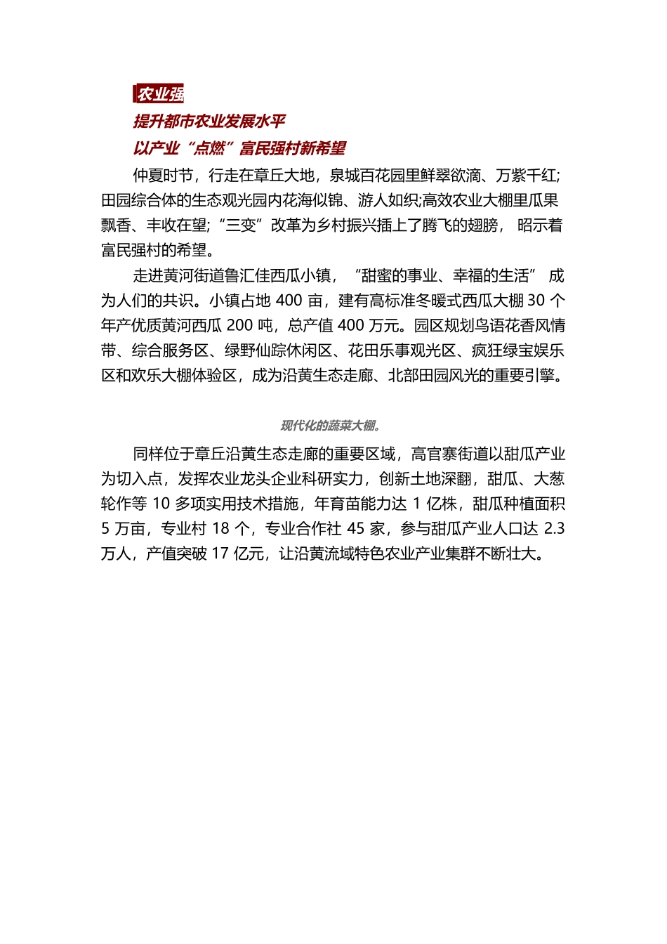 优先发展农业农村，全面推进乡村振兴.docx_第2页