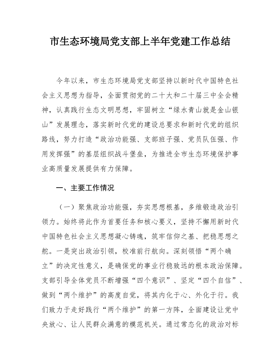 市生态环境局党支部上半年党建工作总结.docx_第1页