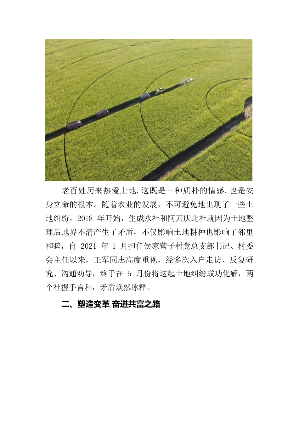 王军-乡村振兴当先锋 村民致富领路人.docx_第3页