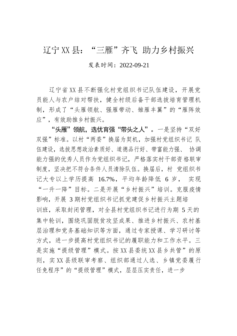 X县：“三雁”齐飞 助力乡村振兴.docx_第1页
