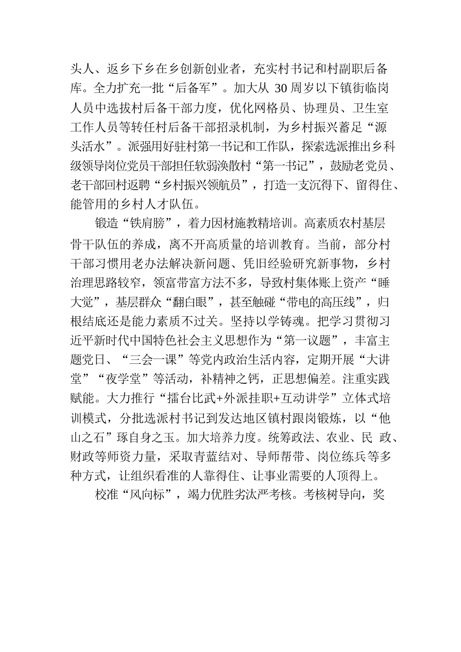 “全链发力”抓实村干部队伍建设.docx_第2页