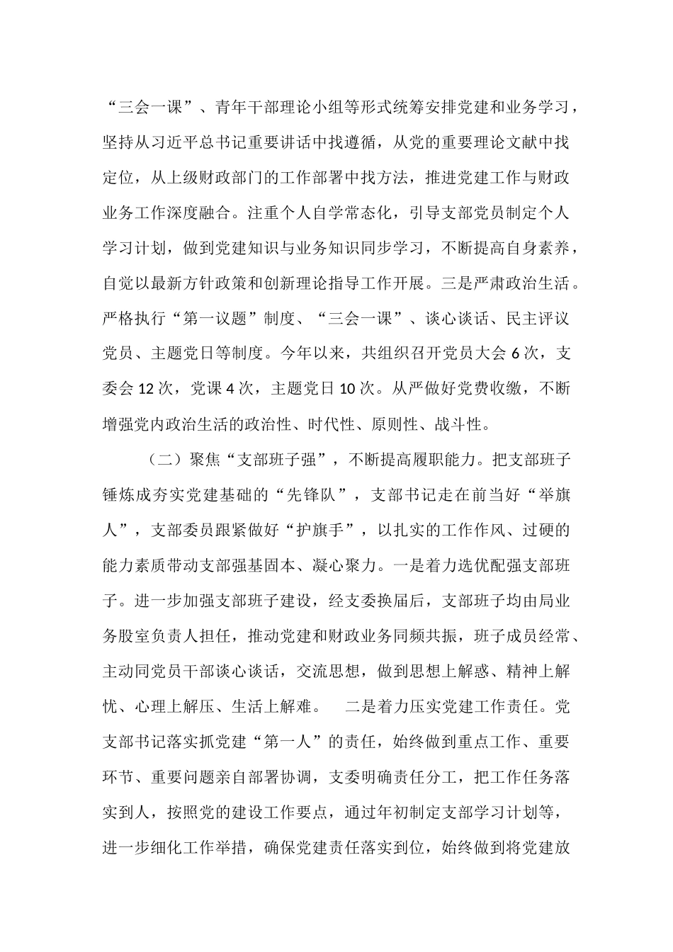 市财政局党支部上半年落实全面从严治党主体责任工作情况报告.docx_第2页