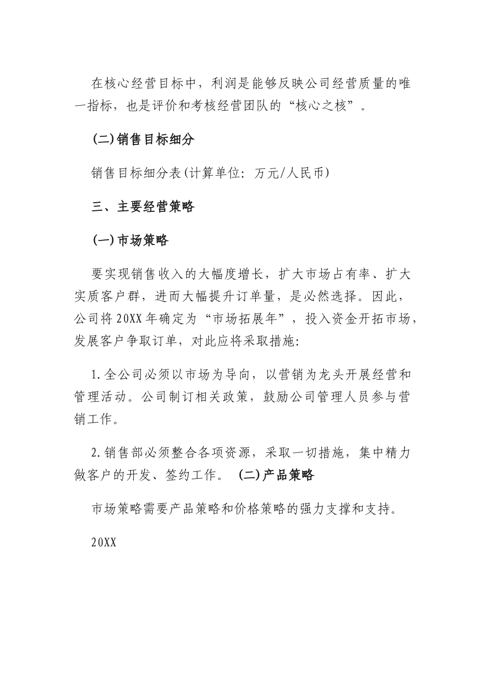 公司年度经营计划.docx_第2页