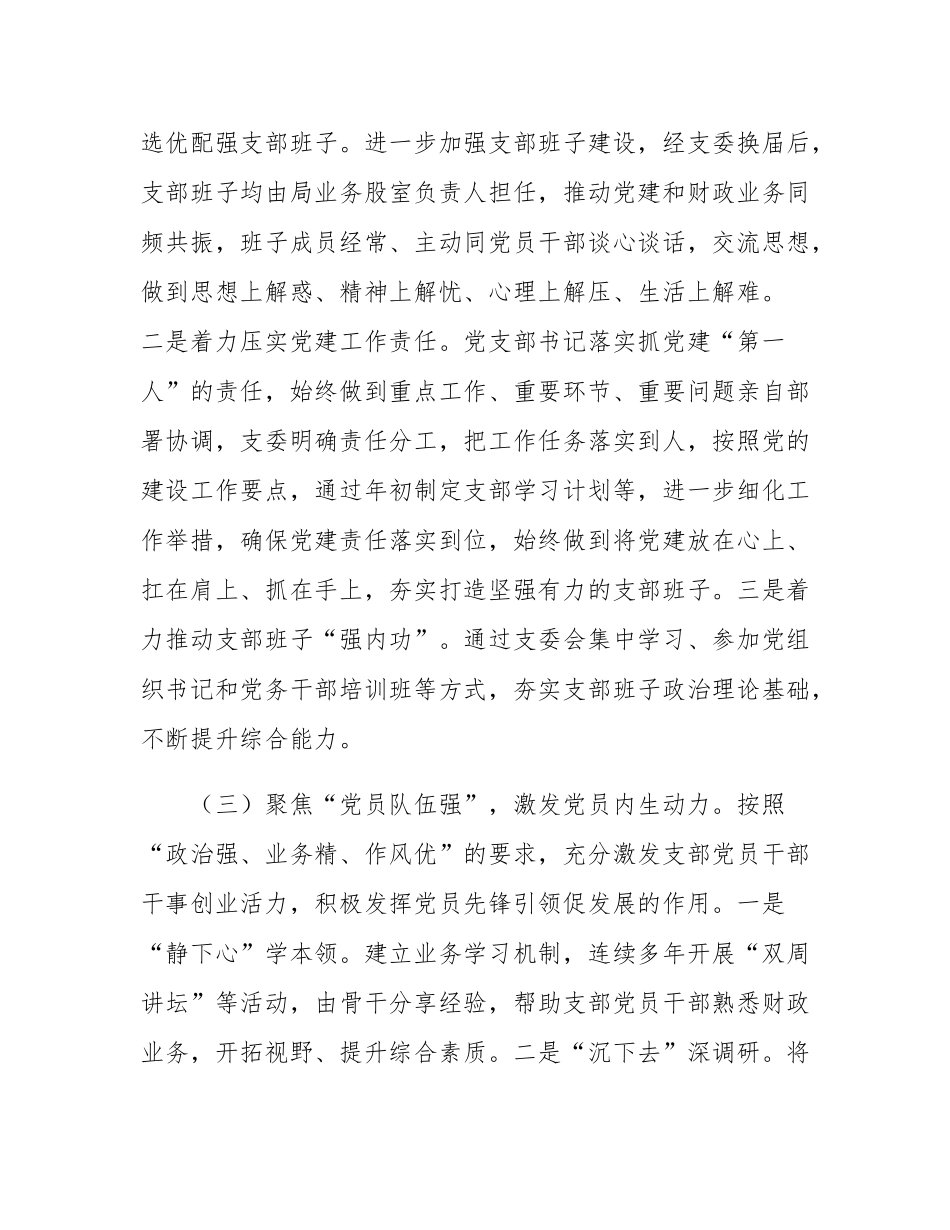市财政局党支部上半年落实全面从严治党主体责任工作情况报告.docx_第3页