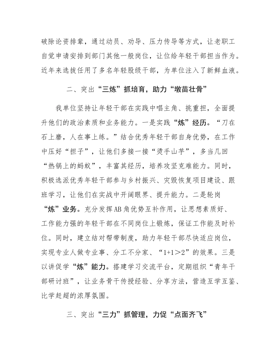 交流发言：县局突出三个重点  写好年轻干部培养“大文章”.docx_第2页
